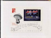 Mongolia 1991 50th Anniversary of Fantasia by Disney - perf proof of m/sheet (Chinese Dance) mounted in folder entitled House of Questa Running Proof, rare thus as SG MS2316d