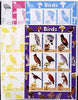 Benin 2003 Birds & Fungi large sheetlet containing set of 9 values - the set of 5 imperf progressive proofs comprising the 4 individual colours plus all 4-colour composite, unmounted mint