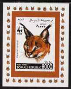 Somalia 1998 WWF - Caracal Lynx 8000sh imperf individual de-luxe sheetlet, unmounted mint. Note this item is privately produced and is offered purely on its thematic appeal