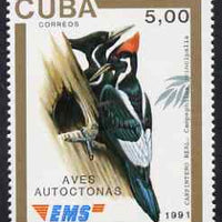 Cuba 1991 Express Mail Stamp - 5p Ivory-Billed Woodpecker unmounted mint SG E3642