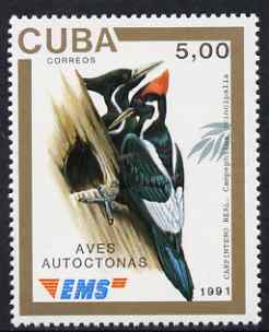 Cuba 1991 Express Mail Stamp - 5p Ivory-Billed Woodpecker unmounted mint SG E3642