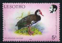 Lesotho 1988 Birds 5s Spurwing Goose unmounted mint, SG 793*