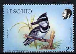 Lesotho 1988 Birds 2s Pied Kingfisher with slight perf shift such that horiz perfs pass through the date, unmounted mint, as SG 791*