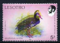 Lesotho 1988 Birds 5s Spurwing Goose fine colour shift of red & blue resulting in two birds unmounted mint as SG 793*
