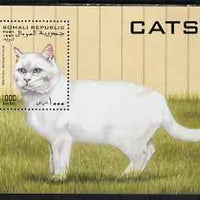 Somalia 1997 Domestic Cats perf m/sheet unmounted mint. Note this item is privately produced and is offered purely on its thematic appeal