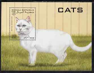 Somalia 1997 Domestic Cats perf m/sheet unmounted mint. Note this item is privately produced and is offered purely on its thematic appeal