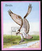 Afghanistan 1998 Birds perf s/sheet (Osprey) unmounted mint. Note this item is privately produced and is offered purely on its thematic appeal, it has no postal validity