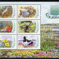 Guernsey 2006 Designation of L'Eree Wetland as Ramsar Site perf m/sheet unmounted mint, SG MS 1129