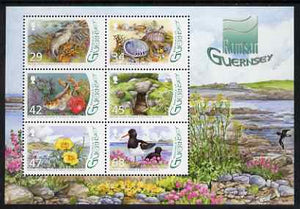 Guernsey 2006 Designation of L'Eree Wetland as Ramsar Site perf m/sheet unmounted mint, SG MS 1129