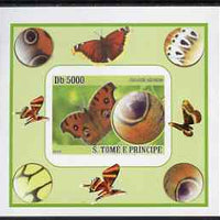 St Thomas & Prince Islands 2008 Butterflies individual imperf deluxe sheet #9 unmounted mint. Note this item is privately produced and is offered purely on its thematic appeal