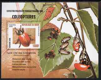 Benin 2000 Insects (Bangkok 2000 Stamp Exhibition) perf m/sheet unmounted mint