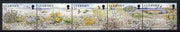 Guernsey 1991 Nature Conservation se-tenant strip of 5 flowers unmounted mint, SG 535a