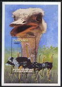 Tanzania 1999 Ostriches perf m/sheet (from Millennium Improvements) unmounted mint SG MS 2162