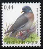 Belgium 2002-09 Birds #5 Wood Pigeon 0.44 Euro unmounted mint, SG 3701b