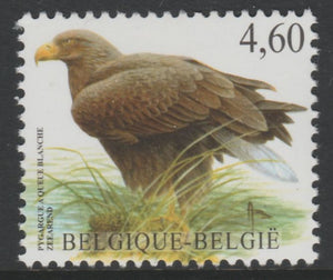 Belgium 2002-09 Birds #5 White-Tailed Eagle 4.60 Euro unmounted mint SG3708c