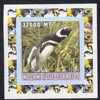 Mozambique 2002 Penguins #6 individual imperf deluxe sheet unmounted mint. Note this item is privately produced and is offered purely on its thematic appeal