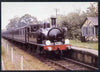 Postcard produced in 1980's in full colour showing L&SWR Adams 02 Class 0-4-4T Calbourne, unused and pristine