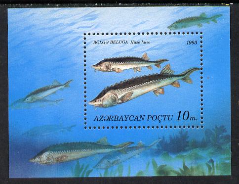 Azerbaijan 1993 Fish m/sheet unmounted mint