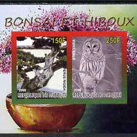 Djibouti 2008 Bonsai & Owls #1 imperf sheetlet containing 2 values unmounted mint