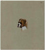 Dhufar 1984 Rotary - Dogs (Boxer) original artwork by George Woodford of the B L Kearley Studio, watercolour on board 200 x 230 mm plus issued perf sheetlet incorporating this image