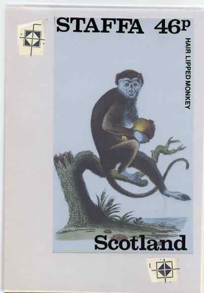 Staffa 1983 Primates (Hair Lipped Monkey) original composite artwork believed to be from the B L Kearley Studio, comprising a coloured photograph mounted on board 120 x 170 mm with overlay, plus issued 46p perf label incorporating this image
