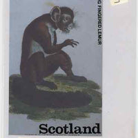 Staffa 1983 Primates (Long Fingered Lemur) original composite artwork believed to be from the B L Kearley Studio, comprising a coloured photograph mounted on board 120 x 170 mm with overlay, plus issued 54p perf label incorporating this image