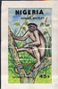 Nigeria 1984 Nigerian Wildlife - original hand-painted artwork for 45k value (Tantalus Monkey) by Godrick N Osuji on card 5 inches x 8.5 inches endorsed D2