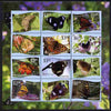 Tonga - Niuafo'ou 2012 Butterflies #1 perf sheetlet containing set of 12 values (blue background) unmounted mint
