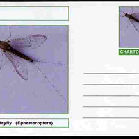 Chartonia (Fantasy) Insects - Mayfly (Ephemeroptera) postal stationery card unused and fine