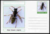 Chartonia (Fantasy) Insects - Wasp (Vespula vulgaris) postal stationery card unused and fine