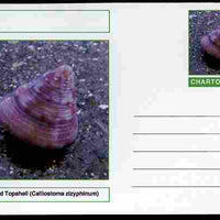 Chartonia (Fantasy) Shells - Painted Topshell (Calliostoma zizyphinum) postal stationery card unused and fine