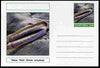Chartonia (Fantasy) Shells - Razor Shell (Ensis arcuatus) postal stationery card unused and fine