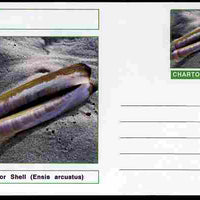 Chartonia (Fantasy) Shells - Razor Shell (Ensis arcuatus) postal stationery card unused and fine