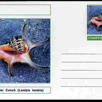 Chartonia (Fantasy) Shells - Spider Conch (Lambis lambis) postal stationery card unused and fine