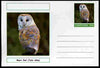 Chartonia (Fantasy) Birds - Barn Owl (Tyto alba) postal stationery card unused and fine