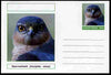 Chartonia (Fantasy) Birds - Sparrowhawk (Accipiter nisus) postal stationery card unused and fine