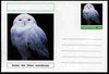 Chartonia (Fantasy) Birds - Snowy Owl (Bubo scandiacus) postal stationery card unused and fine