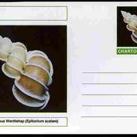 Chartonia (Fantasy) Shells - Precious Wentletrap (Epitonium scalare) postal stationery card unused and fine