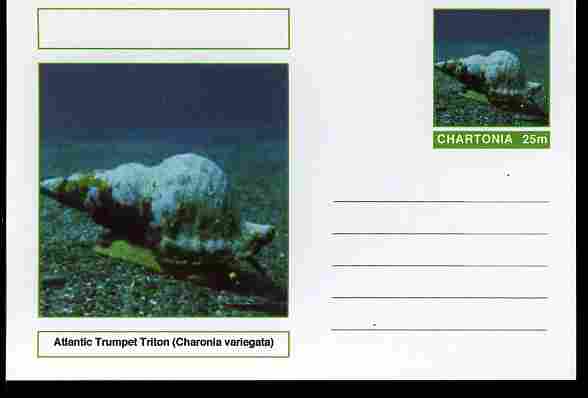 Chartonia (Fantasy) Shells - Atlantic Trumpet Triton (Charonia variegata) postal stationery card unused and fine