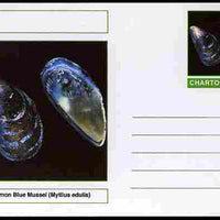 Chartonia (Fantasy) Shells - Common Blue Mussel (Mytilus edulis) postal stationery card unused and fine
