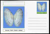 Chartonia (Fantasy) Shells - Sunrise Tellin (Tellina radiata) postal stationery card unused and fine