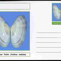 Chartonia (Fantasy) Shells - Sunrise Tellin (Tellina radiata) postal stationery card unused and fine