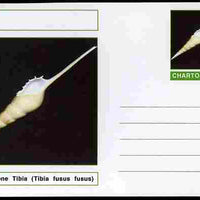 Chartonia (Fantasy) Shells - Shin-Bone Tibia (Tibia fusus fusus) postal stationery card unused and fine