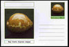 Chartonia (Fantasy) Shells - Map Cowrie (Cypraea mappa) postal stationery card unused and fine