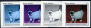 Equatorial Guinea 1976 Cats EK5 (Birman Sealpoint) set of 4 imperf progressive proofs on ungummed paper comprising 1, 2, 3 and all 4 colours (as Mi 799)
