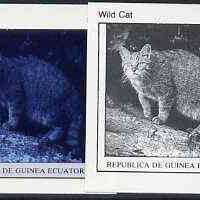 Equatorial Guinea 1976 Cats EK8 (Wild Cat) set of 4 imperf progressive proofs on ungummed paper comprising 1, 2, 3 and all 4 colours (as Mi 800)
