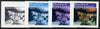 Equatorial Guinea 1976 Butterflies EK60 (Polygonia c. album) set of 4 imperf progressive proofs on ungummed paper comprising 1, 2, 3 and all 4 colours (as Mi 970)