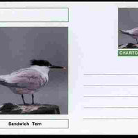Chartonia (Fantasy) Birds - Sandwich Tern postal stationery card unused and fine