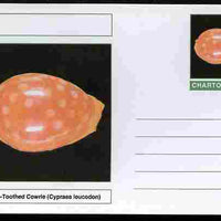 Chartonia (Fantasy) Shells - White-Toothed Cowrie (Cypraea leucodon) postal stationery card unused and fine