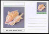 Chartonia (Fantasy) Shells - Bull Conch (Strombus taurus) postal stationery card unused and fine